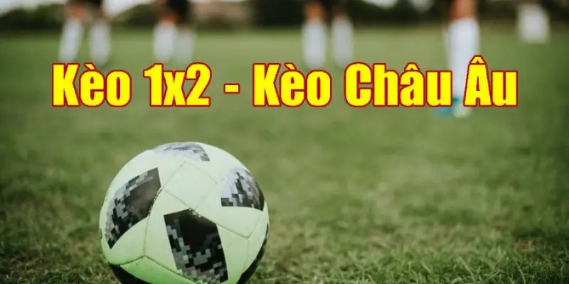 Những tỷ lệ kèo phổ biến trong cá cược bóng đá